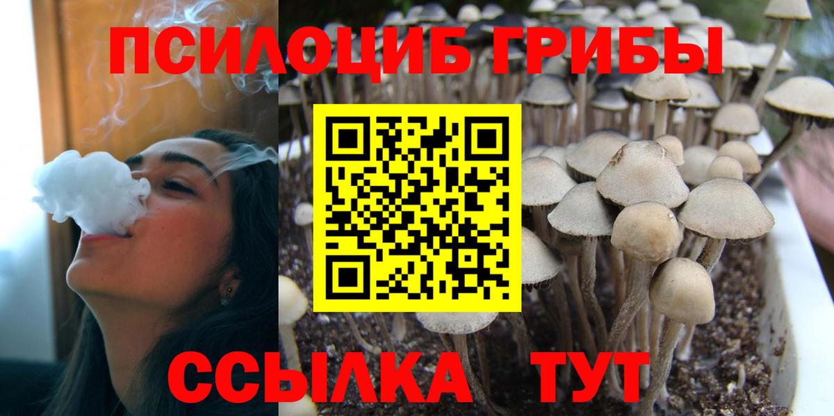 Псилоцибиновые грибы Psilocybine cubensis  Галлюциногенные грибы мухоморы  Пугачёв  где можно купить   Вход с VPN 