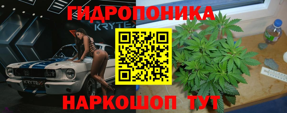 МАРИХУАНА план Пугачёв